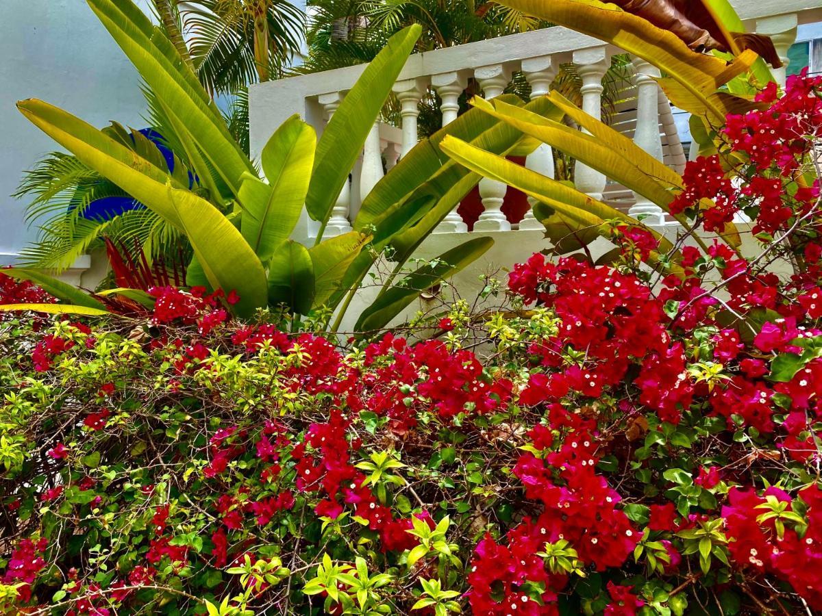 At Wind Chimes Boutique Hotel سان خوان المظهر الخارجي الصورة